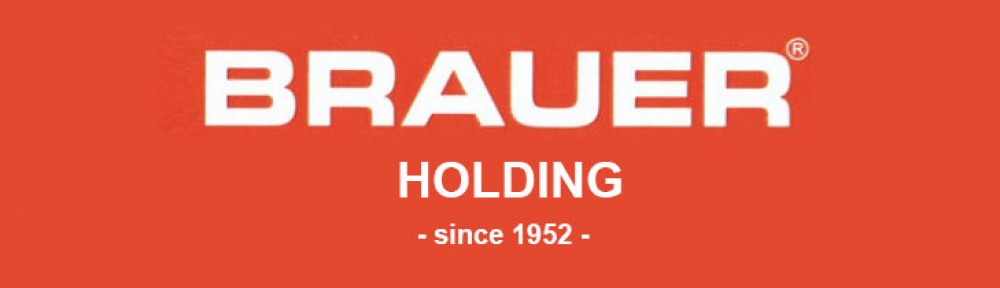 BRAUER – HOLDING | GLOBAL INVESTMENTS